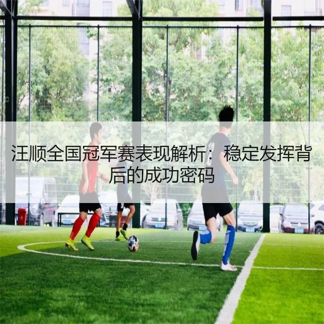 汪顺全国冠军赛表现解析：稳定发挥背后的成功密码